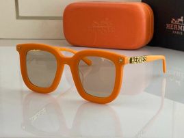 Picture of Hermes Sunglasses _SKUfw46618982fw